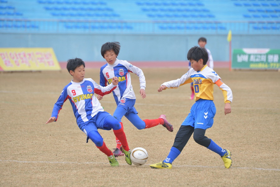 작년 남해에서 개최된 유소년 축구대회 전경